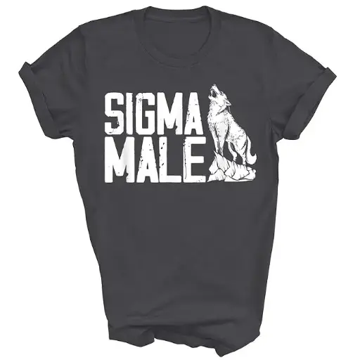 APSRA RETAIL Individualist Sigma Male Introvert Gift Unisex Shirt  Men (AP8275) universal size
